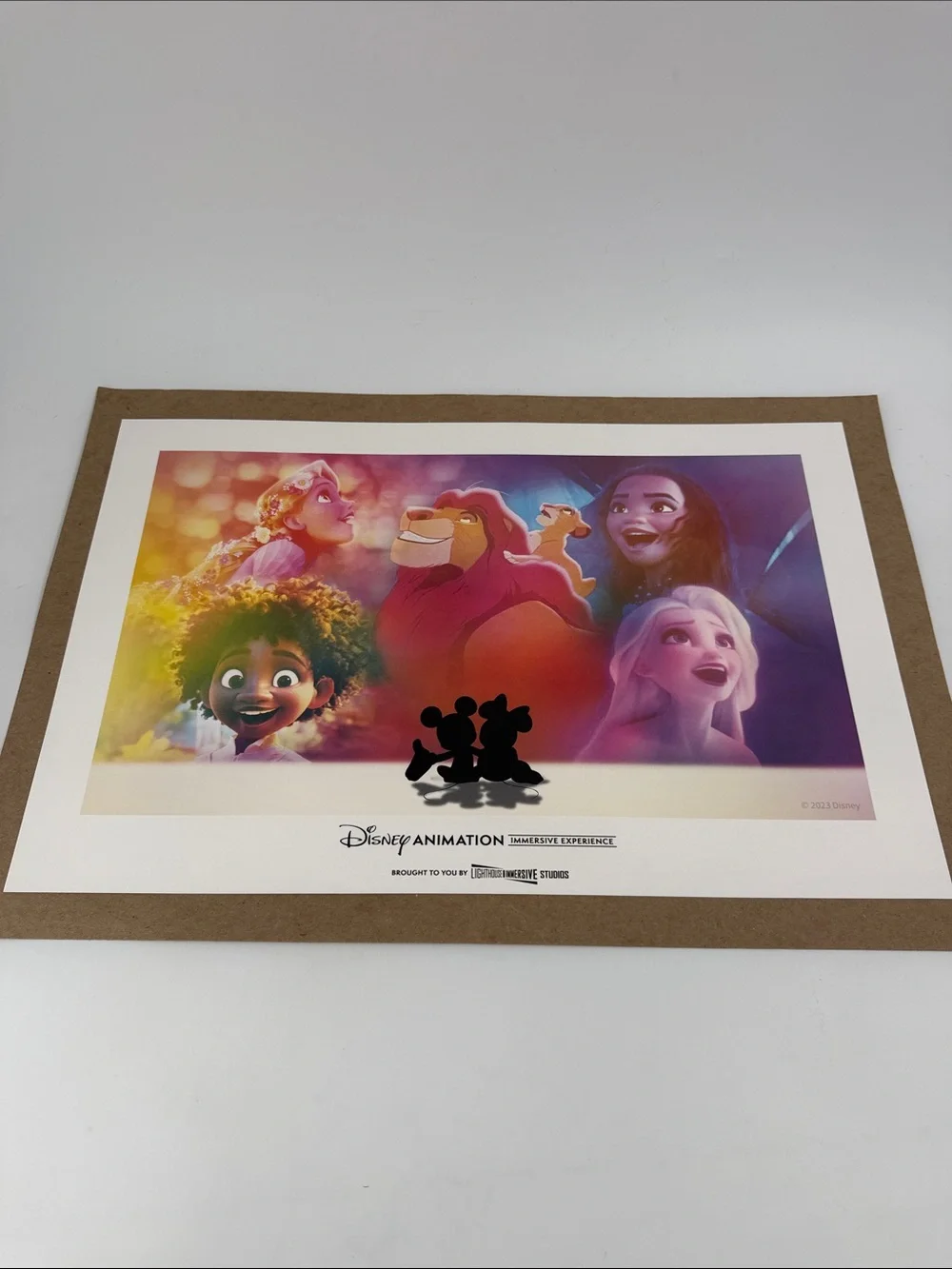 2023 Disney Animation Immersive Experience 17.5x11.25 Print VIP Package Print